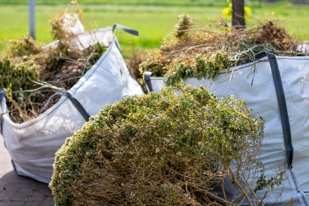 Best Attic Cleanout Services  in Fillmore, UT